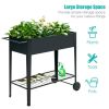 Elevated Planter Box on Wheels