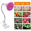 LED Grow Light 12W 200 Red Blue LEDs