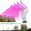Grow Lights Full Spectrum 10 Dimmable Level
