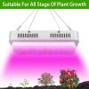 LED Grow Light 1000W  Full Spectrum