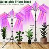 Grow Lights Full Spectrum