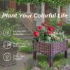 Plastic Raised Garden Bed