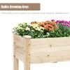 Raised Garden Beds Elevated Planter Box