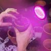 LED Grow Light 12W 200 Red Blue LEDs