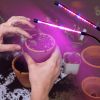 LED Grow Light Dual Head