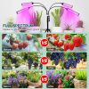 4 Head LED Grow Light
