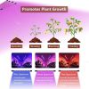 4 Head LED Grow Light