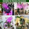 Grow Lights Full Spectrum