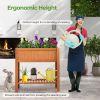 Outdoor Raised Garden Bed Fir Wood