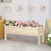 Raised Garden Beds Elevated Planter Box
