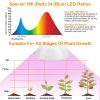LED Grow Light 12W 200 Red Blue LEDs
