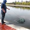Fishing Trap Net