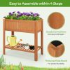 Outdoor Raised Garden Bed Fir Wood