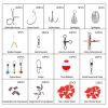 Fishing Accessories Kit