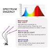 LED Grow Light,6000K Full Spectrum